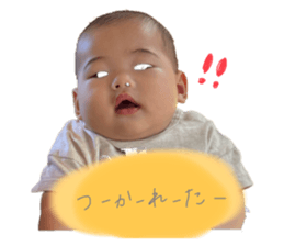 731643004