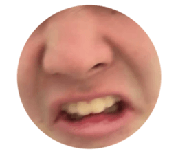 731651693