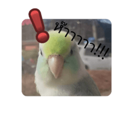 731655847