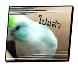 731655856