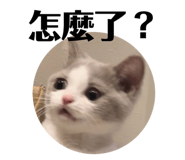 731698765