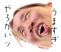 731736288