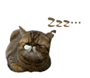 731789291