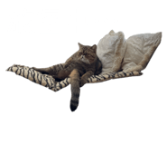 731789296