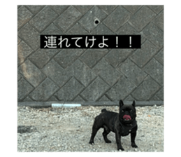 731825513