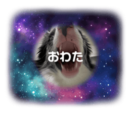 731839008