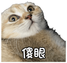 731841955