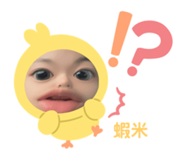 731846233