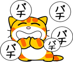 731867699
