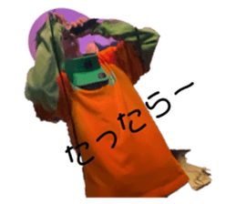 731875302