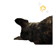 731965588