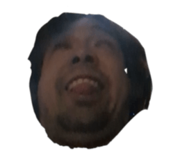 731986338