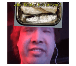 731986341