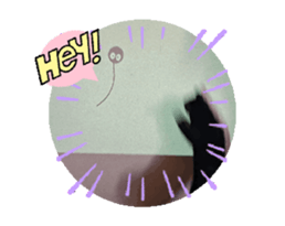 732037827