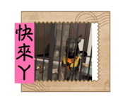 732038325
