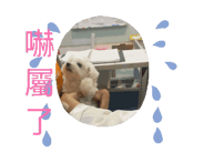 732038328