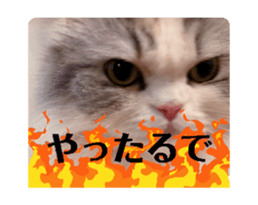 732039828