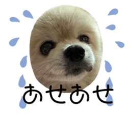 732042826