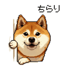732075650