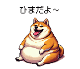 732075654