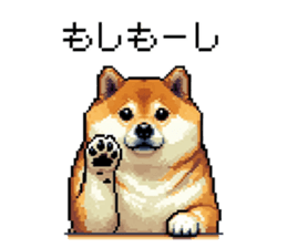 732075655