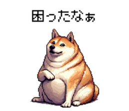 732075672