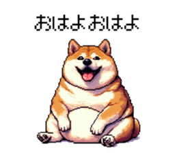 732075678