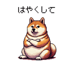 732075684