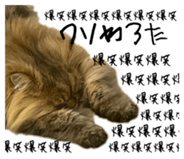 732088552