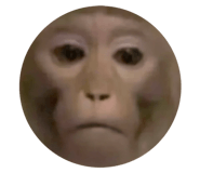 732108424