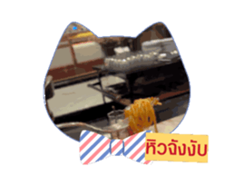 732114301