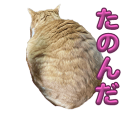 732123756