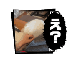 732127755
