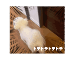 732127762