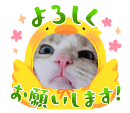 732135086