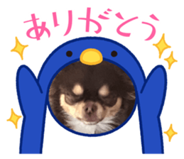 732163165