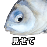 732164195