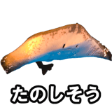 732164196