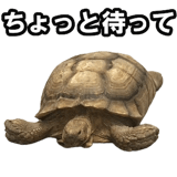 732164198
