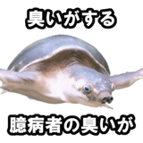 732164199