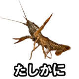 732164200