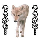 732164201
