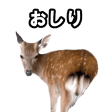 732164204