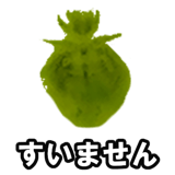 732164205