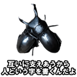 732164207