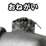 732164208