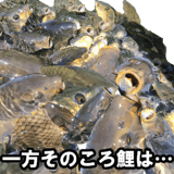 732164212