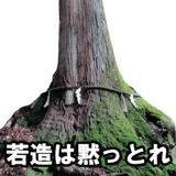 732164215