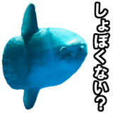 732164219