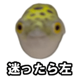 732164220
